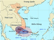 Bóng đá anh, ngoại hạng anh, lịch thi đấu euro 2012, TP HCM lên phương án sơ tán dân tránh bão